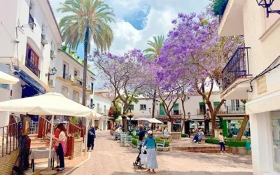 Tipos de licencia de obra de construcción en Marbella